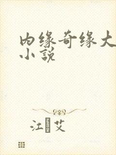 内缘奇缘大团圆小说