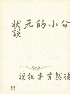 状元的小公主小说