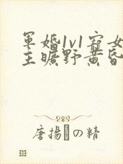 军婚1v1宠女主旷野黄昏