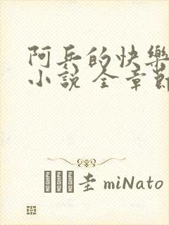 阿兵的快乐生活小说 全章节阅读免费