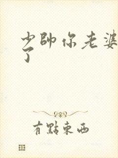 少帅你老婆又跑了