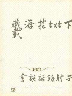 藏海花txt下载