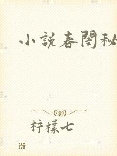 小说春闺秘史封面