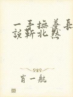 一手抚养长大小说靳北然