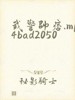 武警帅痞.mp4bad2050