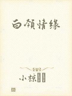 白领情缘封面