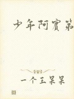 少年阿宾第二部封面