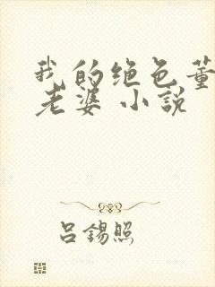 我的绝色董事长老婆 小说