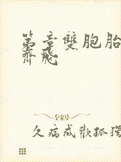 第章双胞胎姐妹齐飞