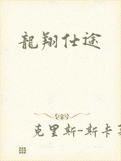 龙翔仕途