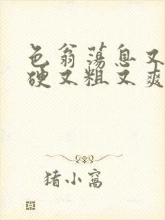 色翁荡息又大又硬又粗又爽