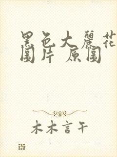 黑色大丽花真实图片 原图