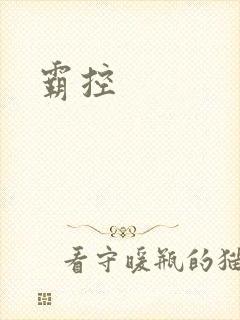 霸控封面