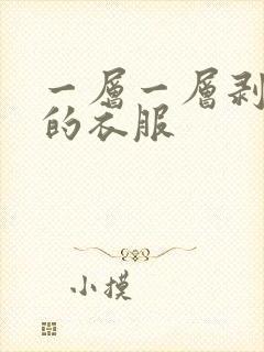一层一层剥开你的衣服