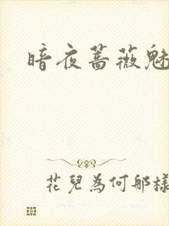 暗夜蔷薇魅