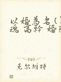以婚为名 (军魂 高干 婚恋)