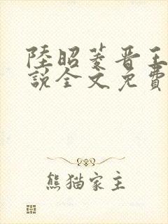 陆昭菱晋王的小说全文免费阅读