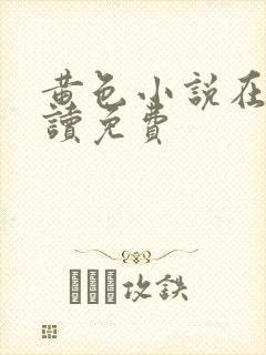 黄色小说在线阅读免费