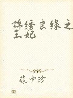 锦绣良缘之北地王妃封面