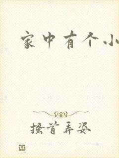 家中有个小姨子封面