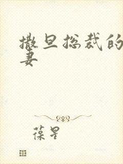 撒旦总裁的下堂妻