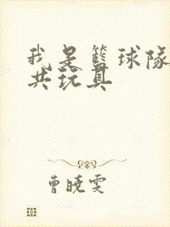 我是篮球队的公共玩具