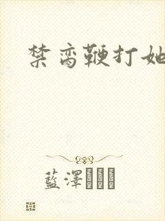 禁脔鞭打她h虐封面