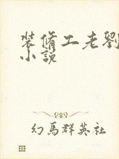 装修工老刘林雪小说