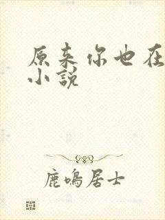 原来你也在这里小说