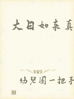 大日如来真经封面