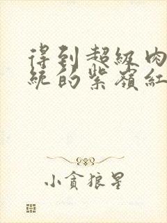 得到超级肉禽系统的紫岭红山