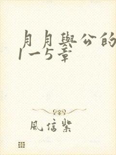 月月与公的激情1一5章
