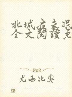 北城夜未眠小说全文阅读免费