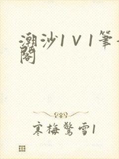 潮沙1∨1笔趣阁