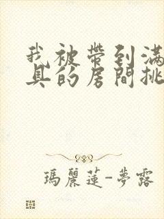 我被带到满是玩具的房间挑调作文