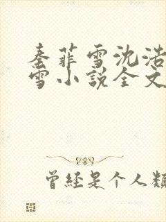 秦菲雪沈浩秦菲雪小说全文免费阅读求书