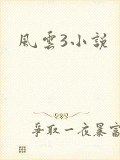 风云3小说