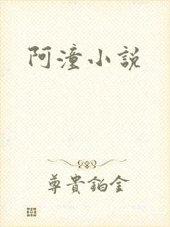 阿潼小说