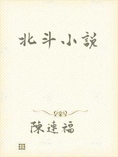北斗小说封面