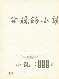 公媳的小说