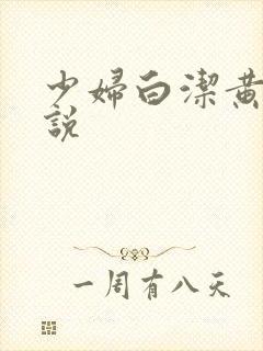 少妇白洁黄色小说封面