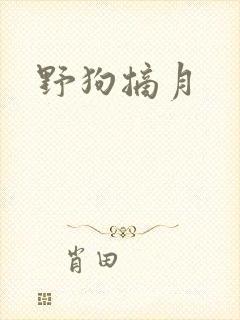 野狗摘月