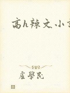 高h辣文小说封面