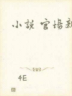 小说 官场新贵封面