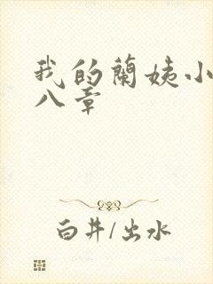 我的兰姨小说第八章