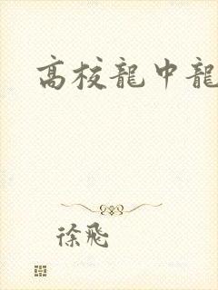 高校龙中龙封面