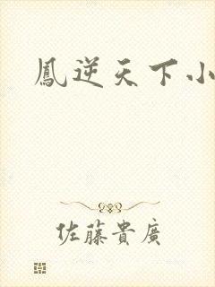 凤逆天下小说封面