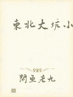 东北大坑小说