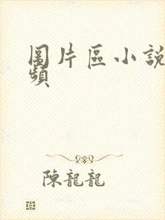 图片区小说区视频封面