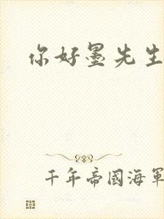 你好墨先生